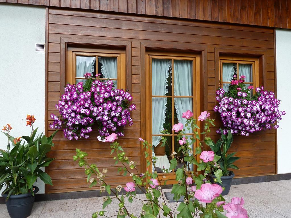 Haus Silvia Apartment เวอร์เฟนแวง ภายนอก รูปภาพ